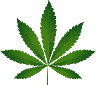 CBD Cloud 9 Wellness